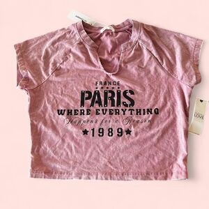 Pink Paris France Crop Top